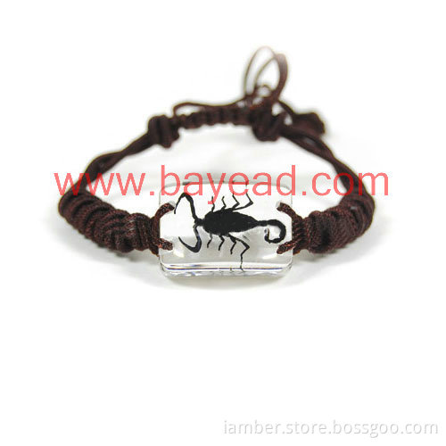 Supply Real Scorpion Inside Amber Bracelet Jewellery